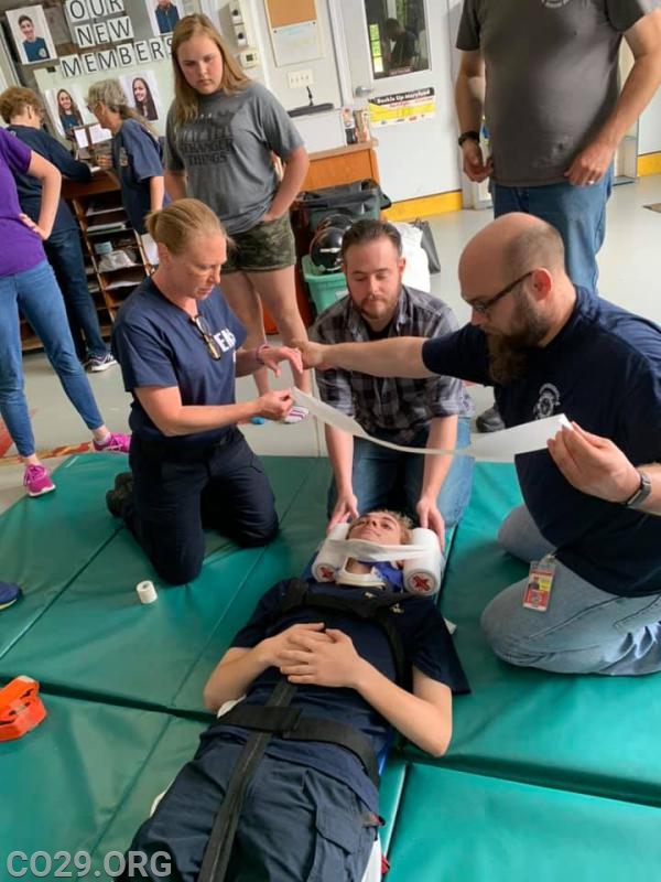 Collar & Backboard training
